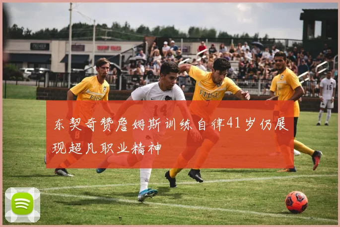 东契奇赞詹姆斯训练自律41岁仍展现超凡职业精神